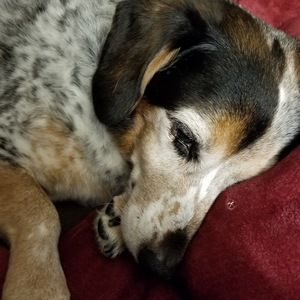 Meet your Posher, Katelyn